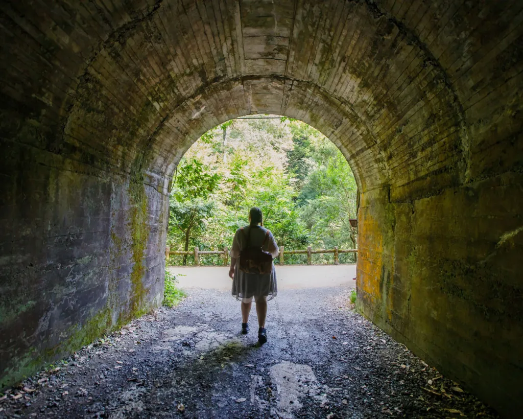 오사카: 아름다운 대자연의 폭포와 지역 크래프트 맥주를 즐기는 하이킹 투어#3