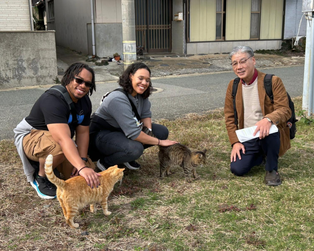 Ainoshima Island: Cats, Culture, and Scenic Beauty Tour#1