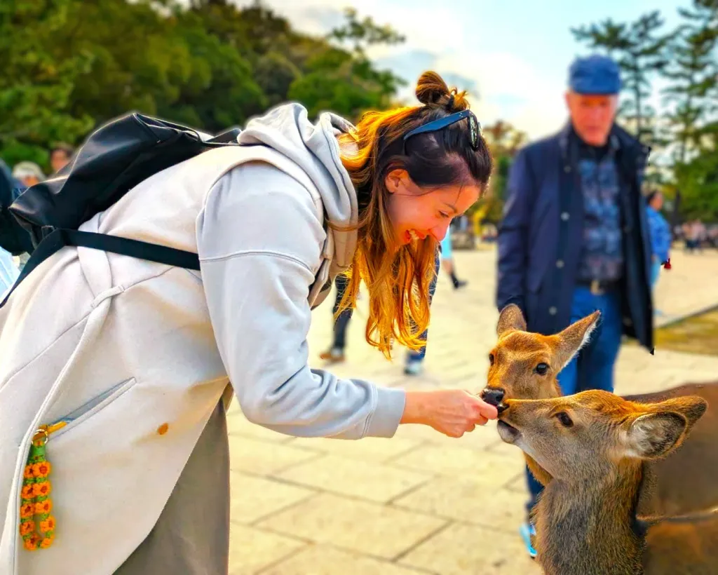 Nara: Hike Mt. Wakakusa and Encounter Wild Free-Roaming Deer#1