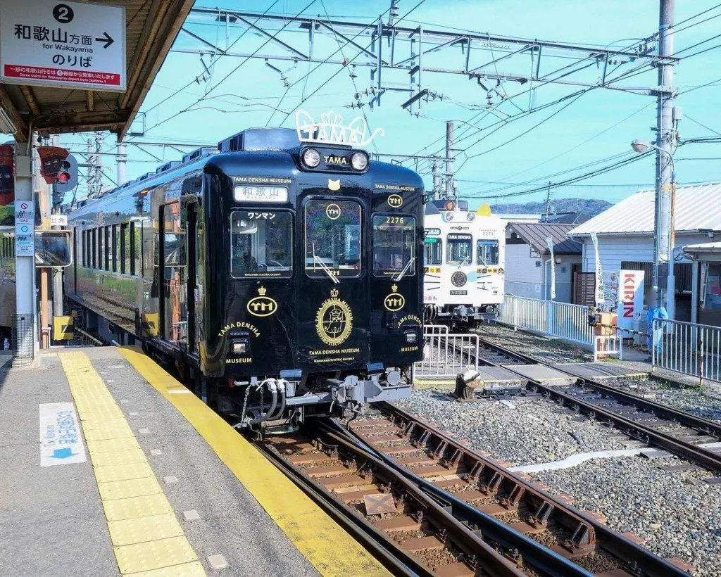 Wakayama: Cat Stationmaster Adventure on the Kishigawa Line#1
