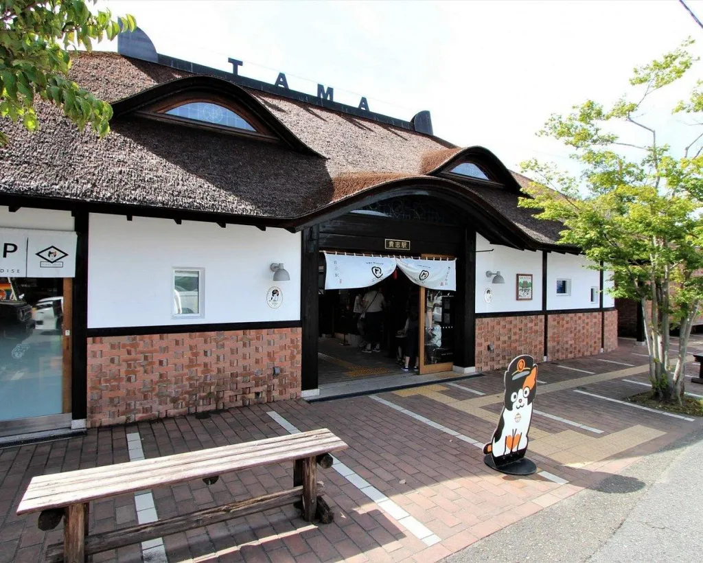 Wakayama: Cat Stationmaster Adventure on the Kishigawa Line#5