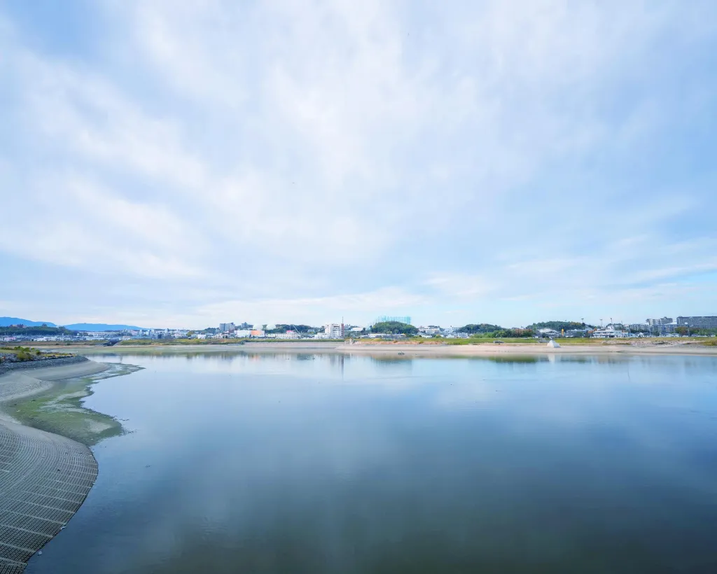 Osaka: Guided Tour of Sayama, Japan's Oldest Irrigation Pond#1