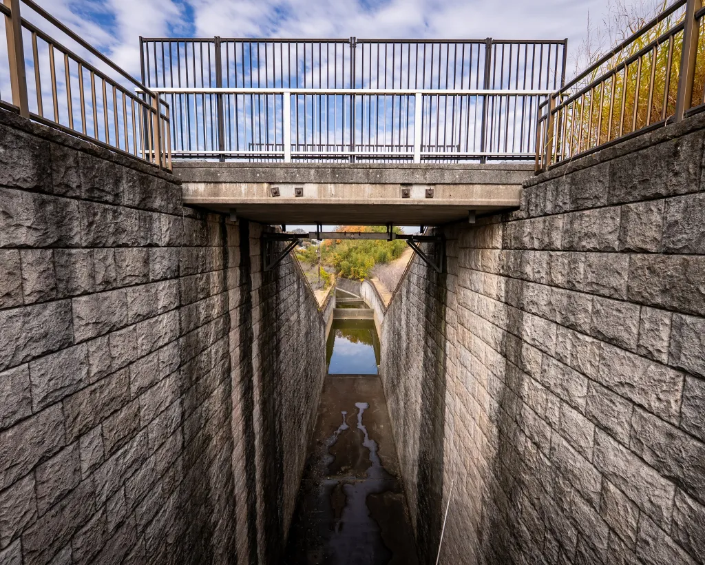 Osaka: Guided Tour of Sayama, Japan's Oldest Irrigation Pond#2