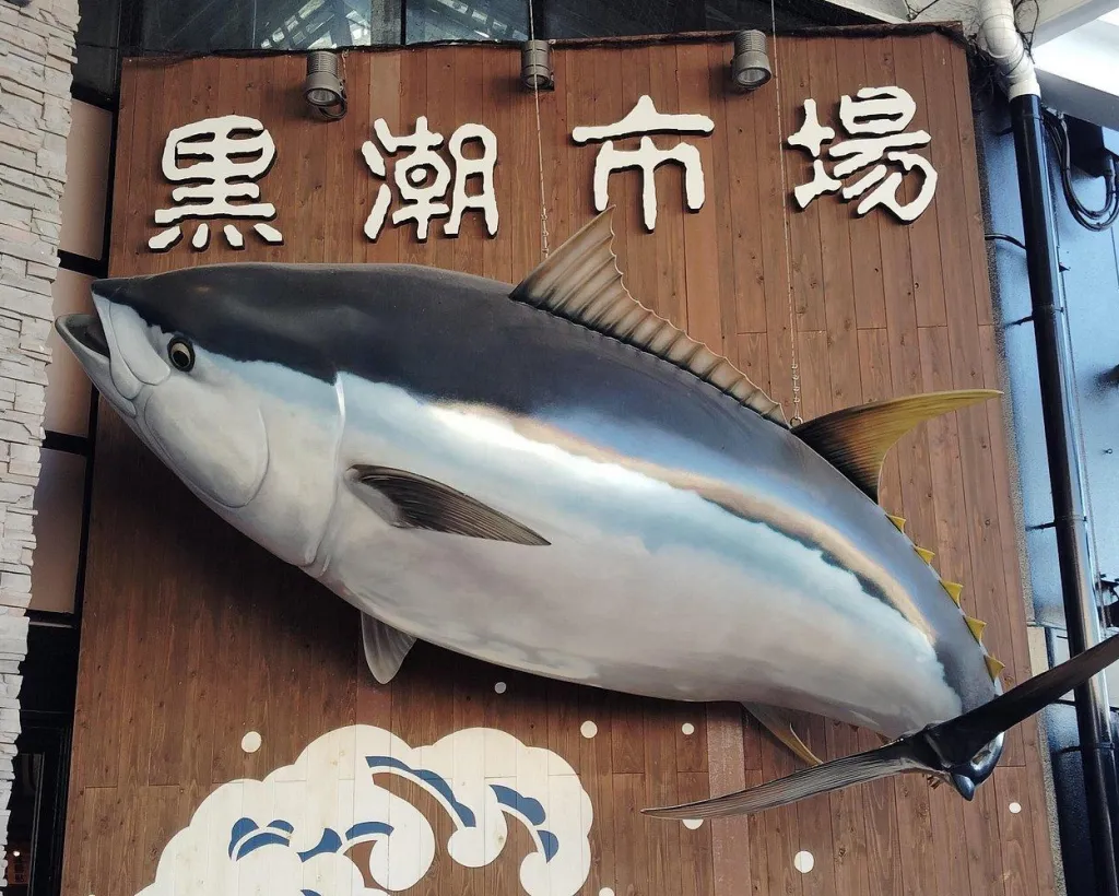 Wakayama: Explore Japan’s Seafood Culture at Kuroshio Market#5
