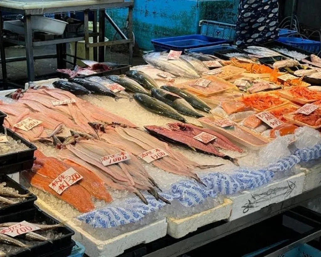 Wakayama: Explore Japan’s Seafood Culture at Kuroshio Market#2