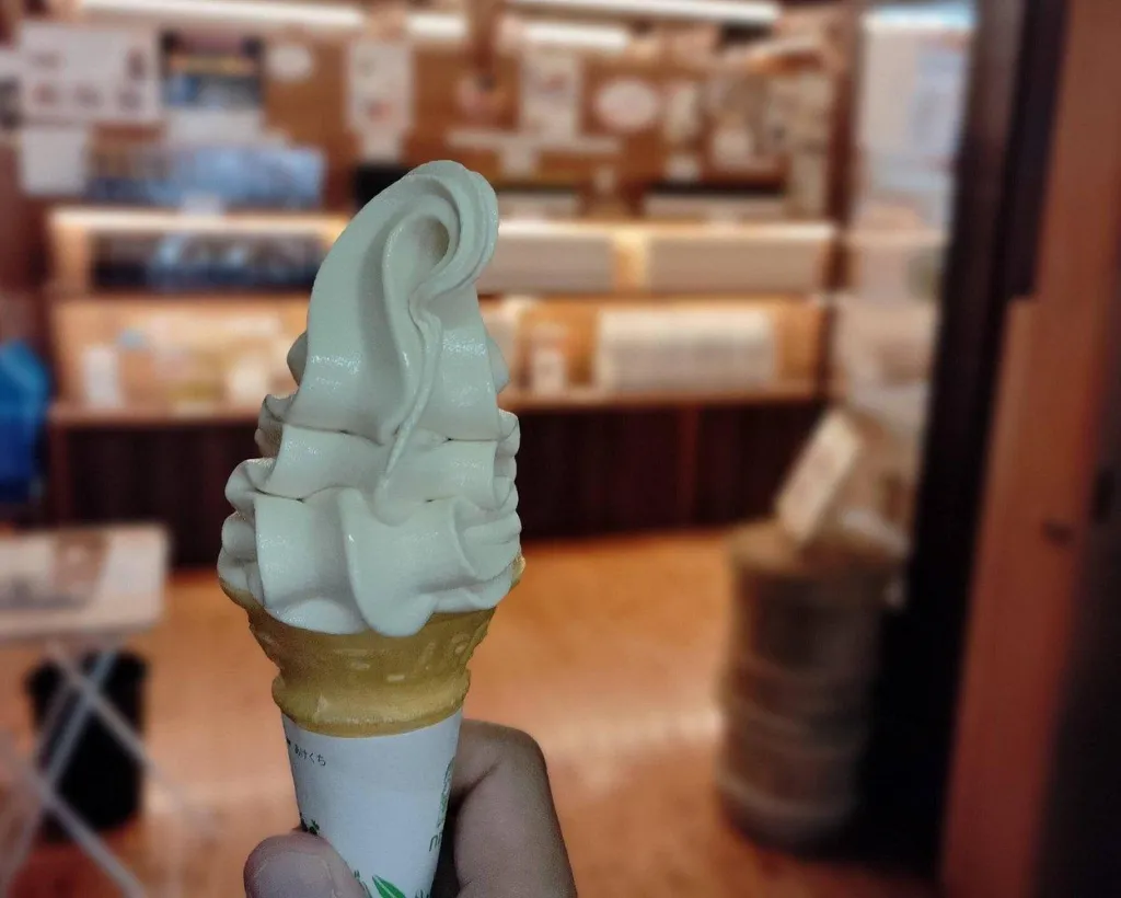 Wakayama: Yuasa Soy Sauce Origin Walk & Brewery Experience#3