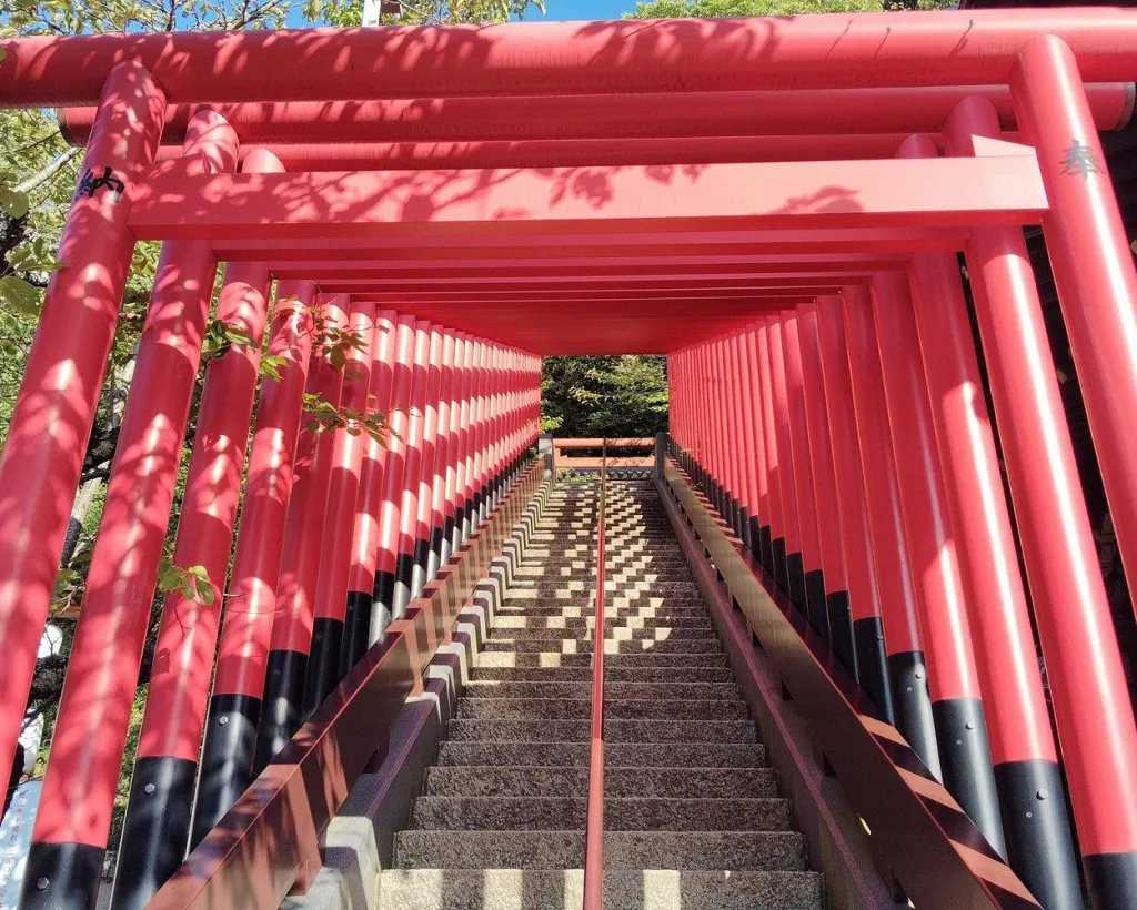 Wakayama: Discover the Sacred Beauty of Kimiidera#4