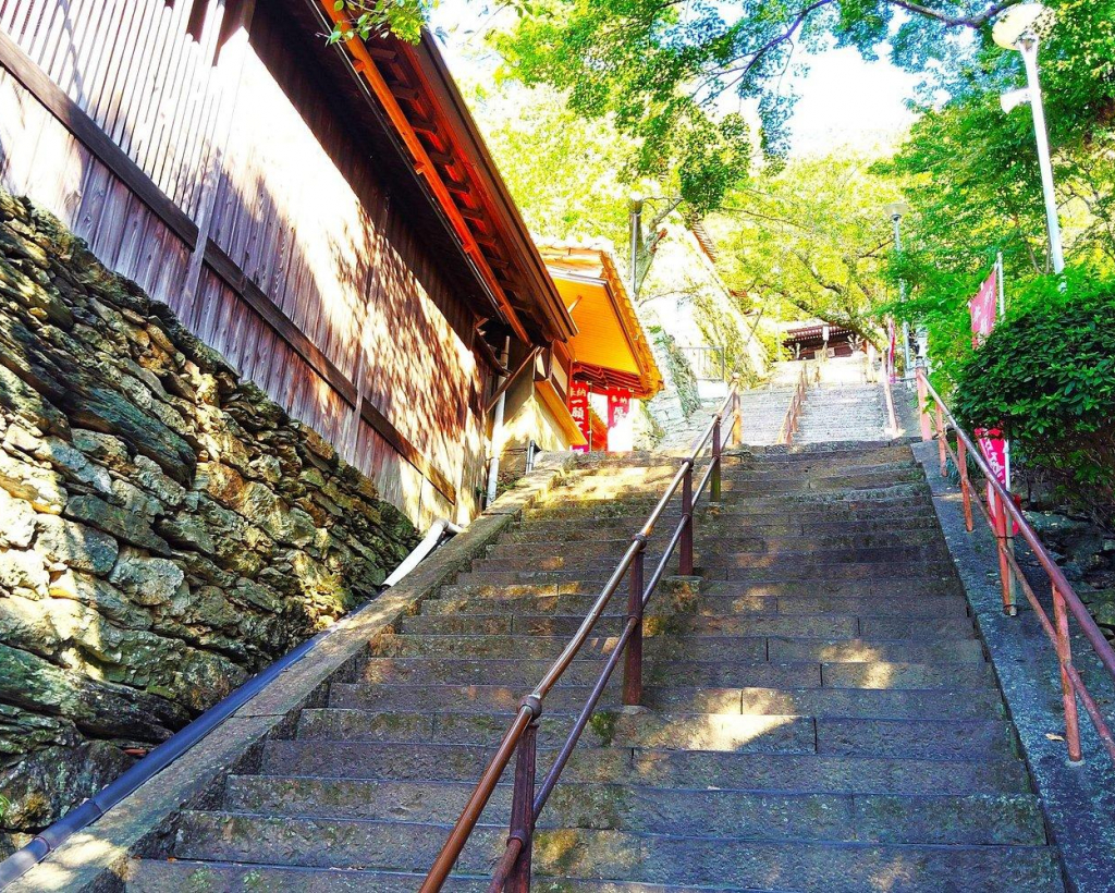 Wakayama: Discover the Sacred Beauty of Kimiidera#1