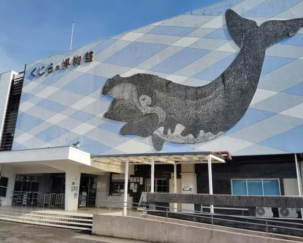 Wakayama: Taiji Whale Museum and Japan’s Ocean Heritage#5