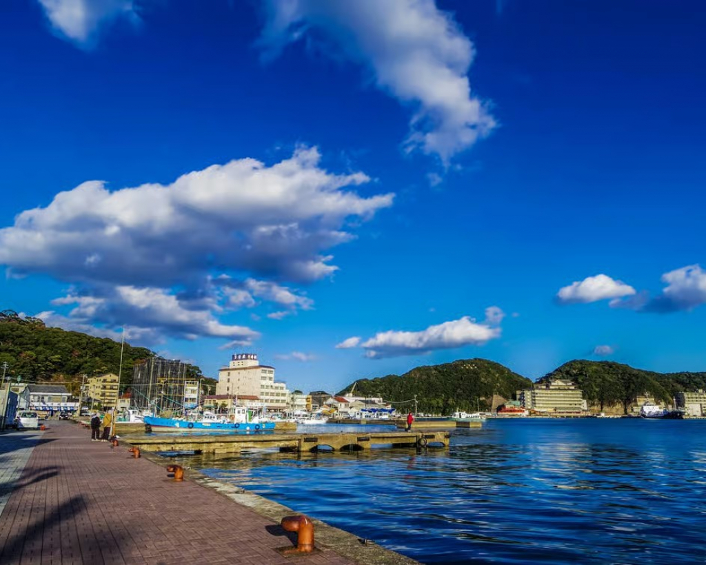 Wakayama: Learn & Taste Japan Tuna Culture in Nachikatsuura#3