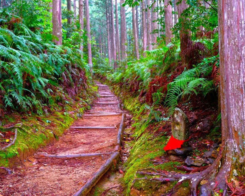 Wakayama: Walk the Kumano Kodo to Kumano Hongu Taisha#1