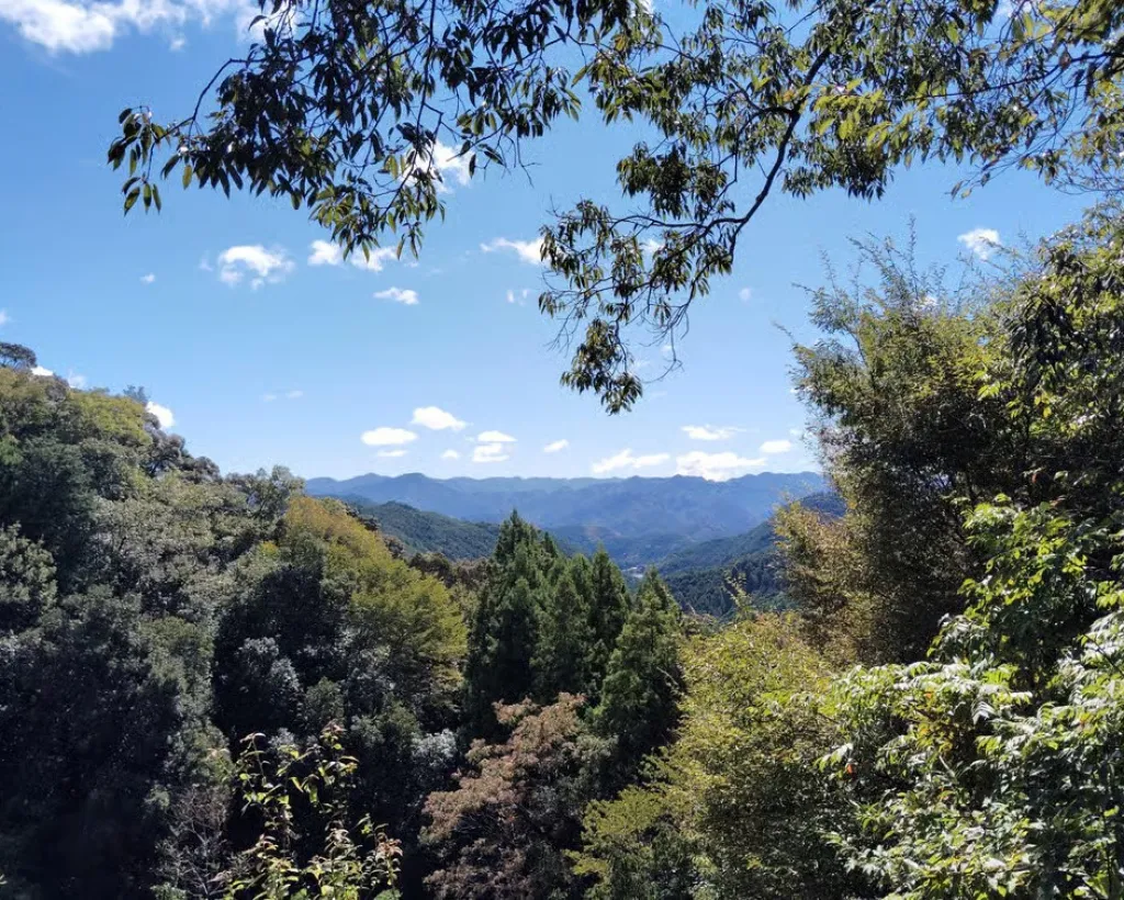 Wakayama: Walk the Kumano Kodo to Kumano Hongu Taisha#5