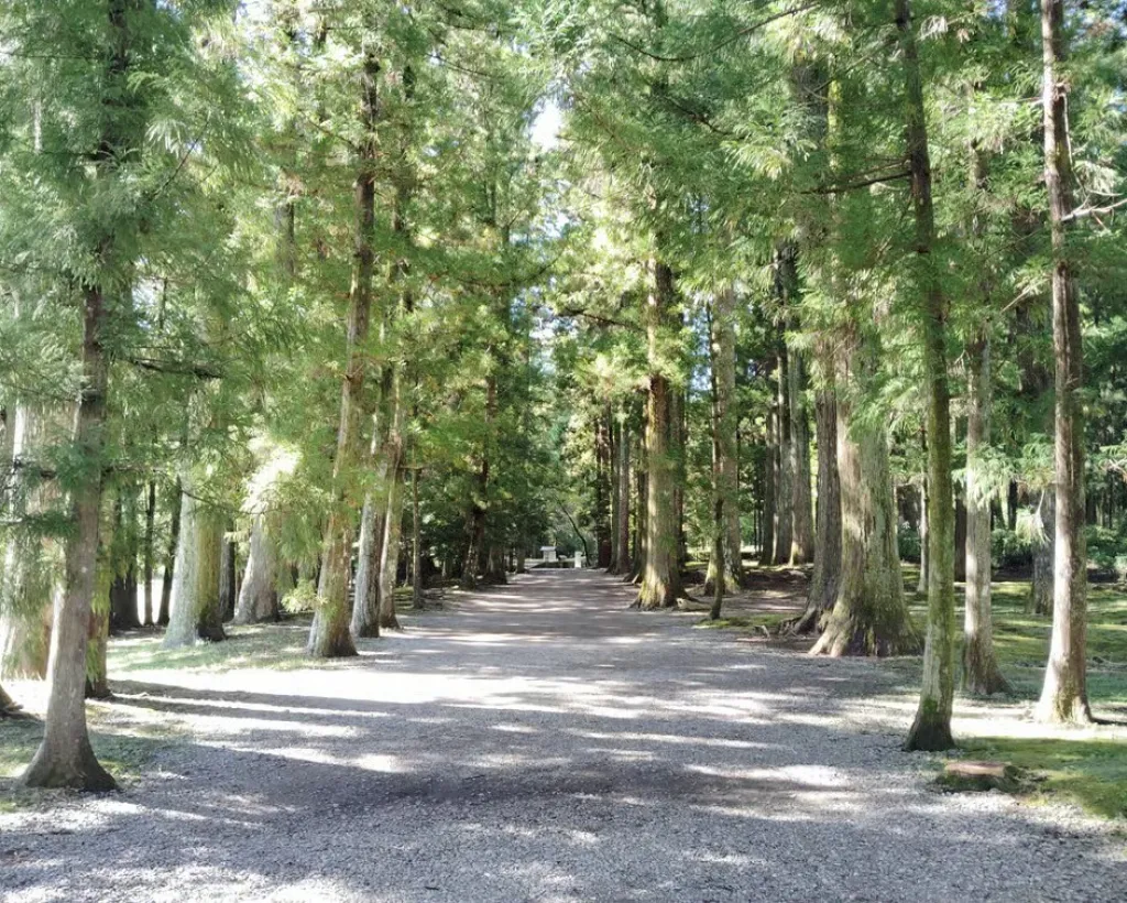 Wakayama: Legends and Purification at Kumano Hongu Shrine#5