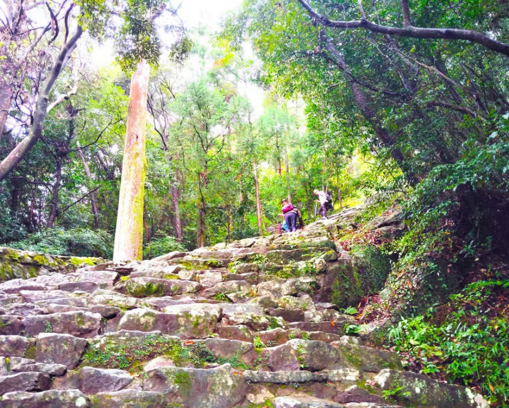 Wakayama: Sacred Journey to Kumano Hayatama and Kamikura#3