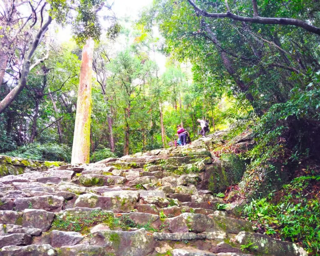 Wakayama: Sacred Journey to Kumano Hayatama and Kamikura#3