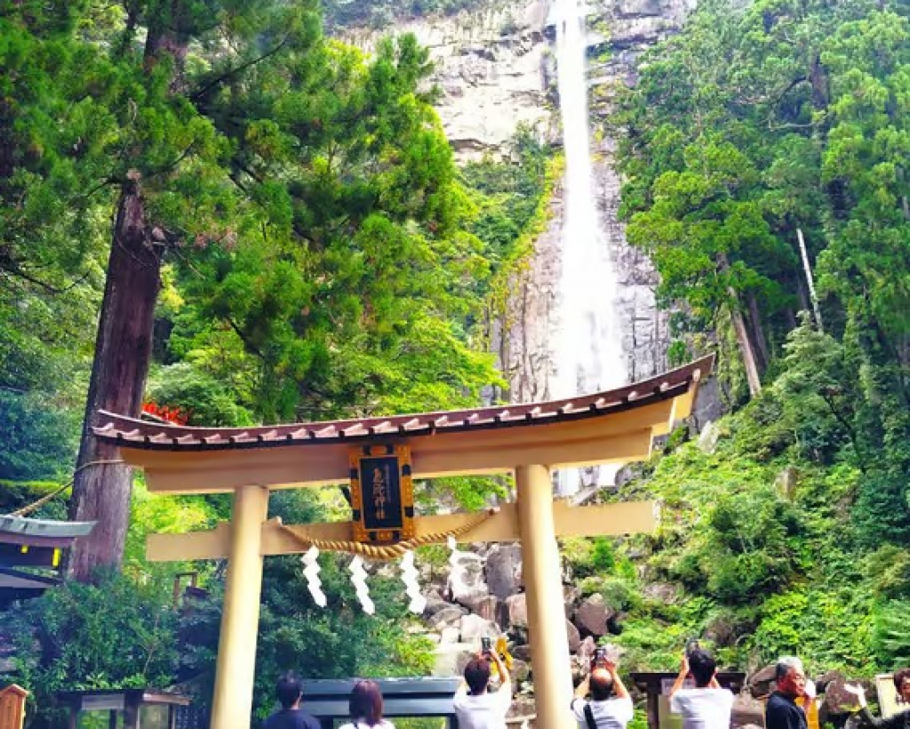 Wakayama: Kumano Nachi Taisha, Seiganto-ji & Waterfall Tour#2