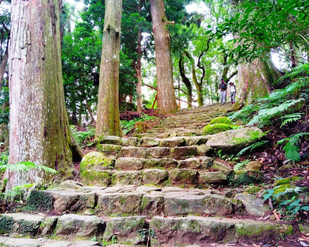 Wakayama: Kumano Nachi Taisha, Seiganto-ji & Waterfall Tour#5