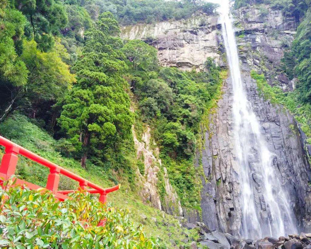 Wakayama: Kumano Nachi Taisha, Seiganto-ji & Waterfall Tour#4