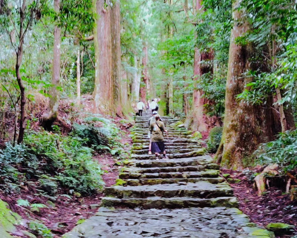 Wakayama: Walk Daimon-zaka to Nachi’s Sacred Sites#1