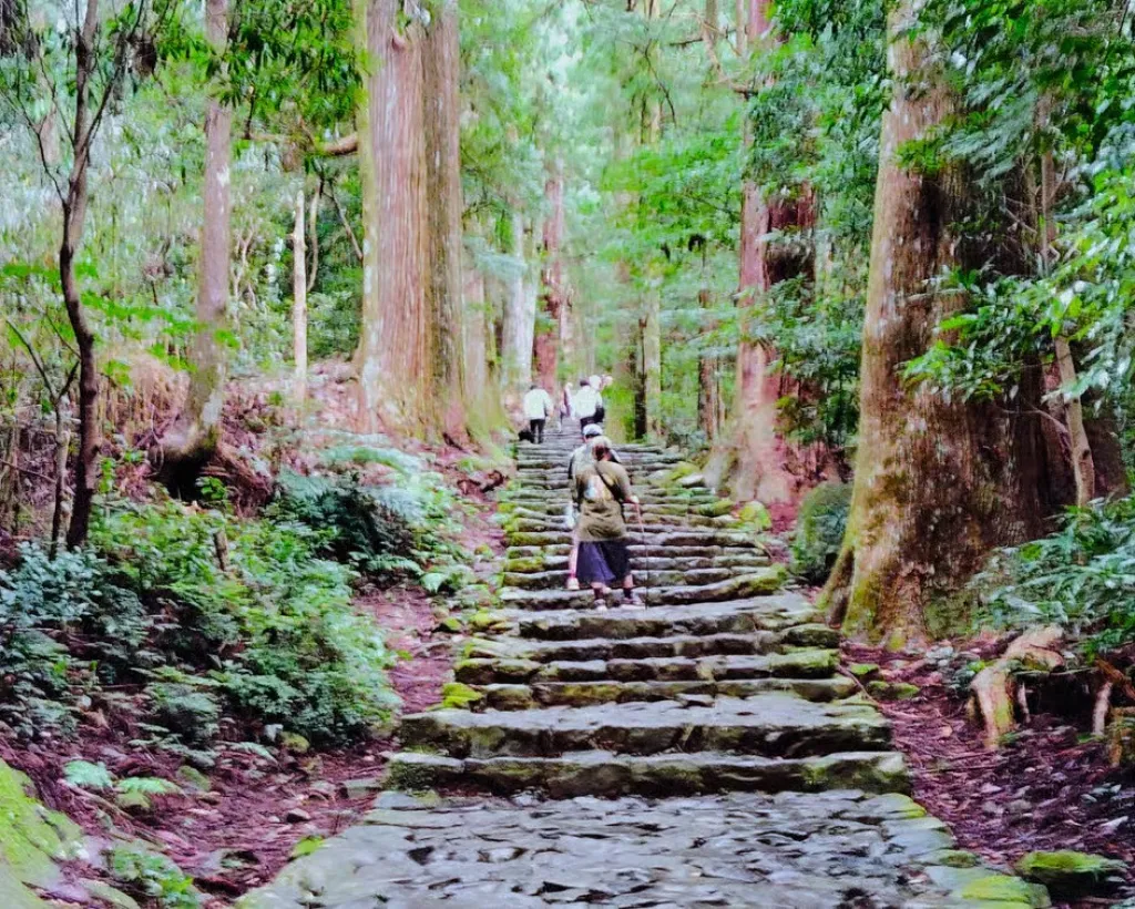 Wakayama: Walk Daimon-zaka to Nachi’s Sacred Sites#1