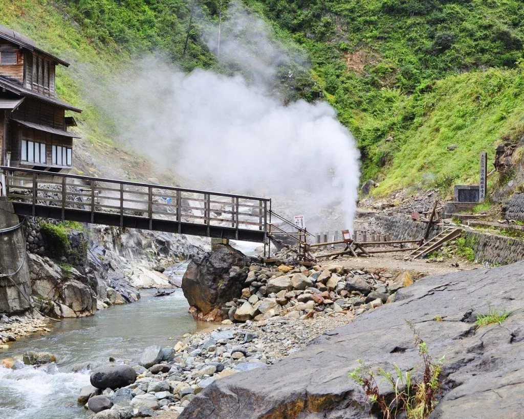 Nagano: Snow Monkeys of Jigokudani Guided Tour#5