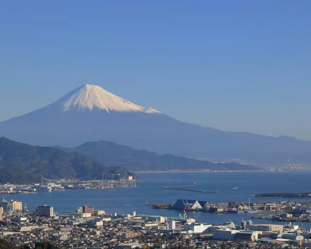 Shizuoka: Shimizu Port Food & Bar Hopping Tour#2