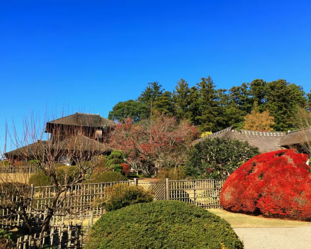 Ibaraki: Kairakuen, One of Japan’s Three Great Gardens#2