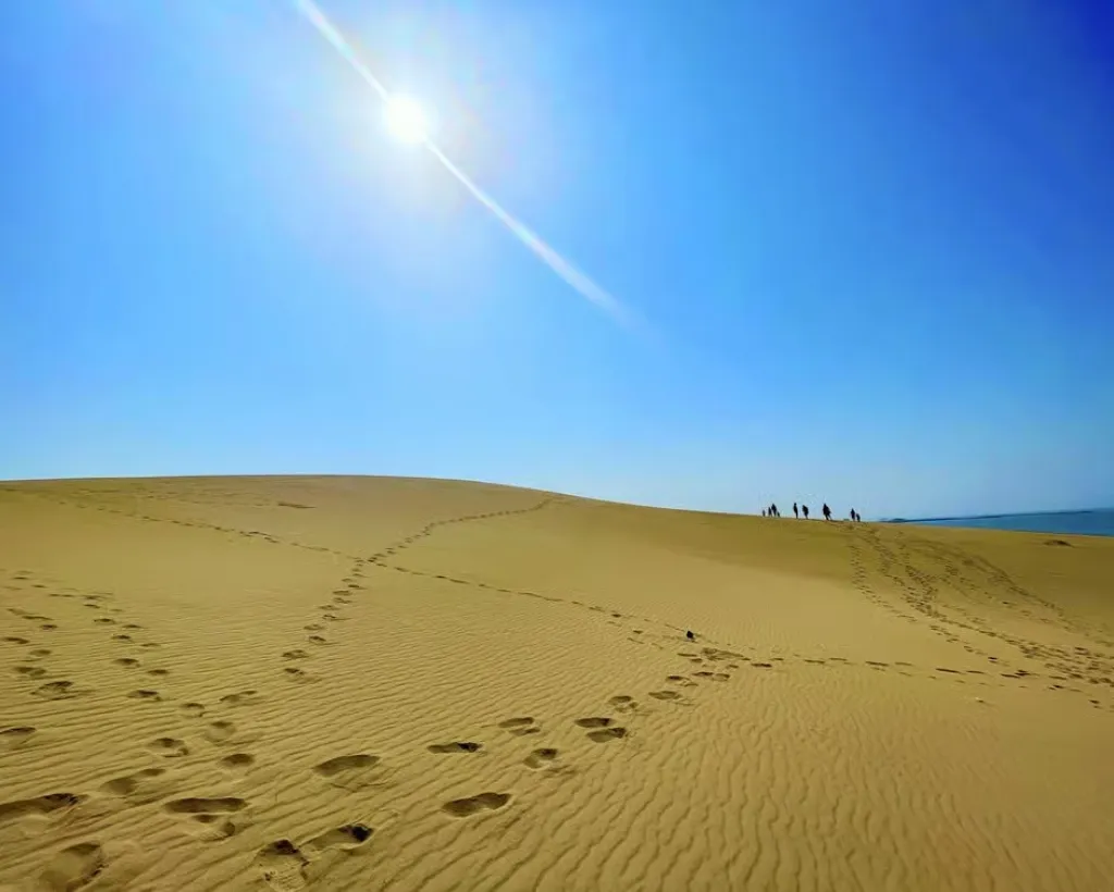 Tottori: Guided Walk through the Tottori Sand Dunes#1