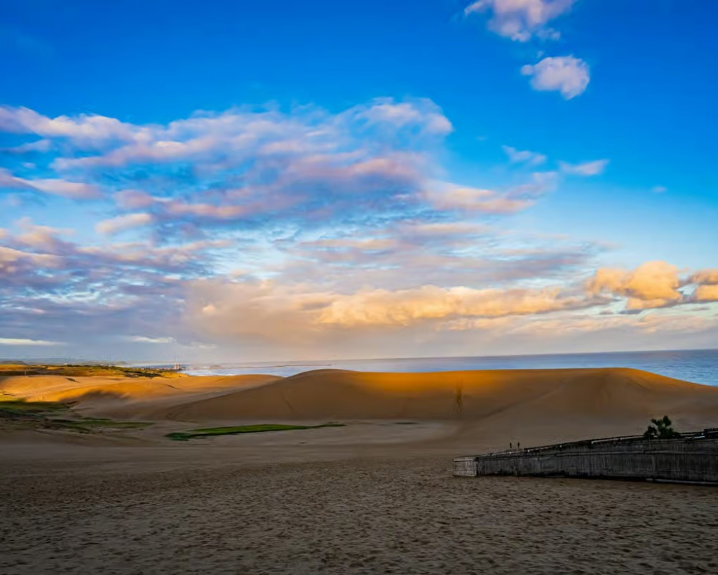 Tottori: Guided Walk through the Tottori Sand Dunes#3
