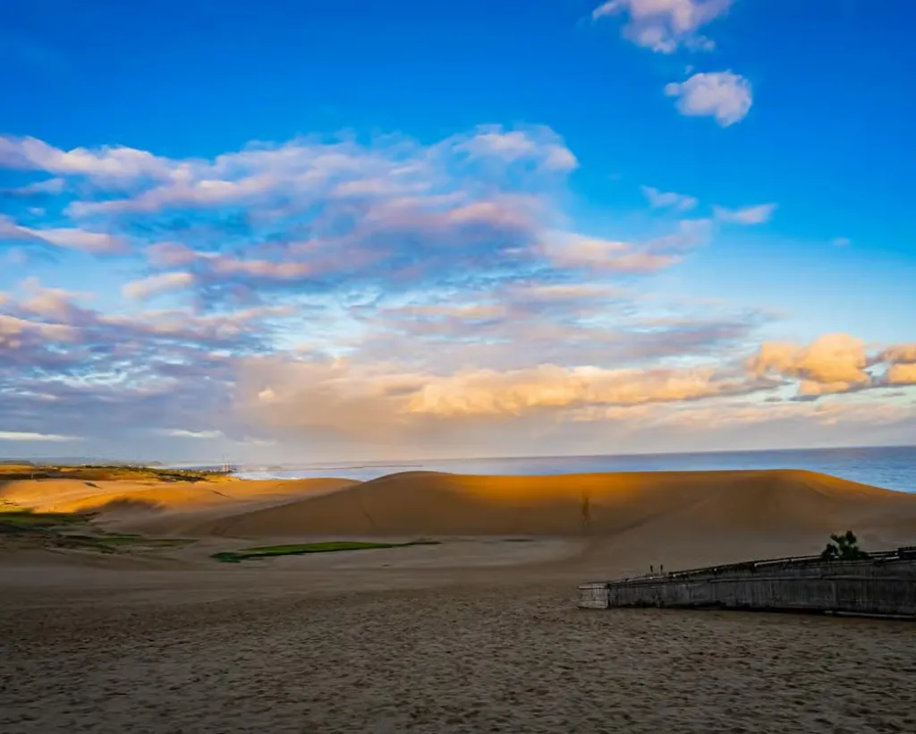 Tottori: Guided Walk through the Tottori Sand Dunes#3