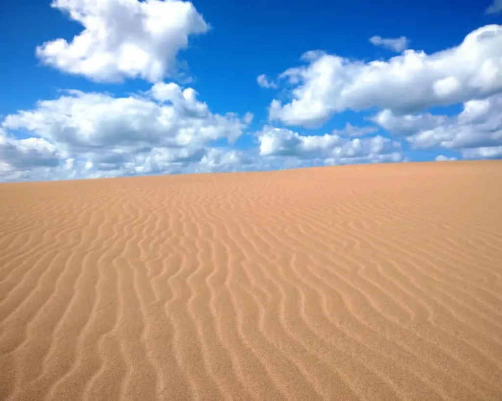 Tottori: Guided Walk through the Tottori Sand Dunes#4