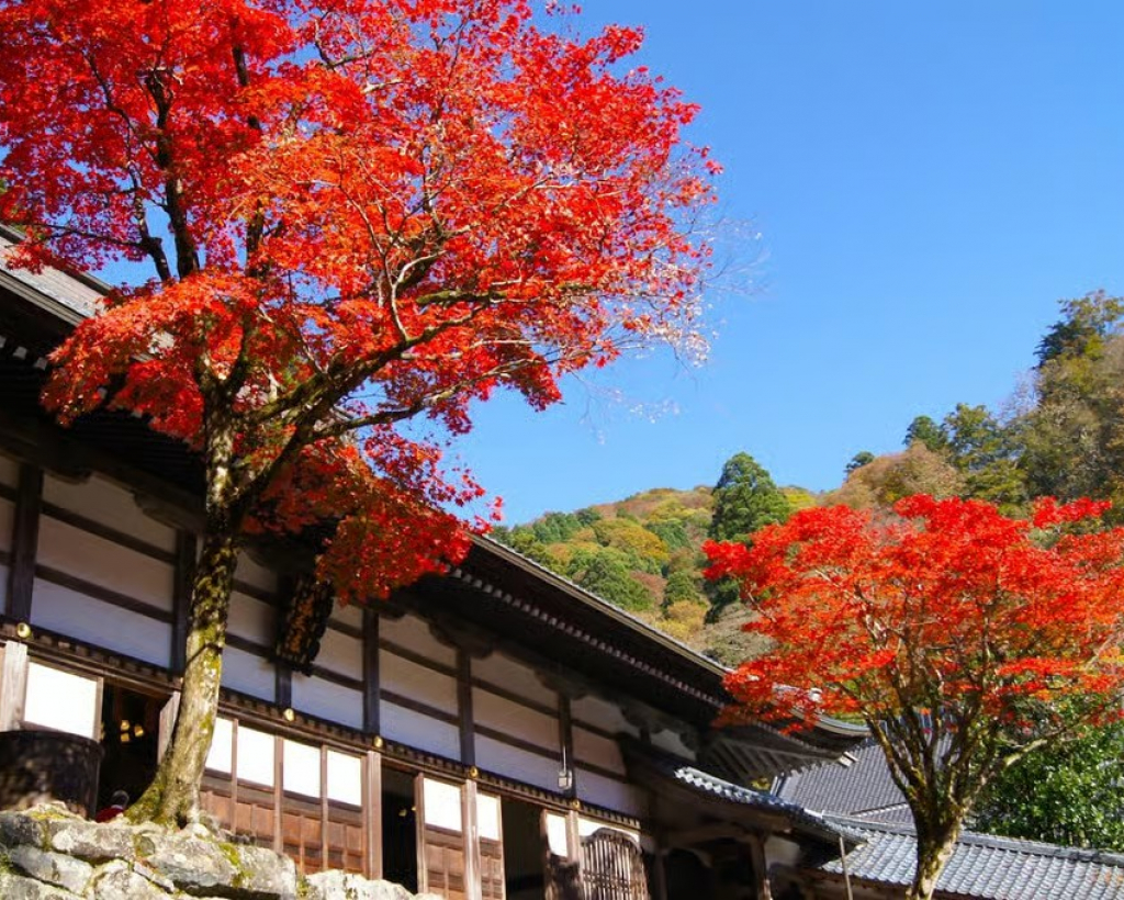 Fukui: Eiheiji Temple and the Heart of Zen Buddhism#2