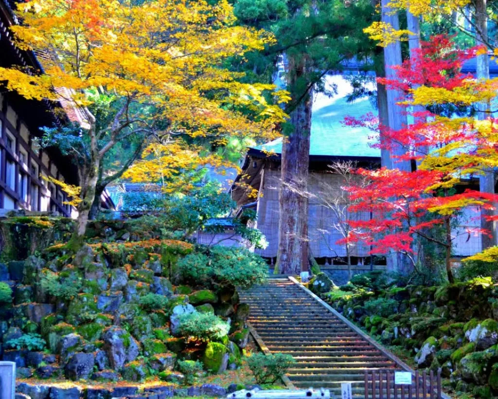 Fukui: Eiheiji Temple and the Heart of Zen Buddhism#5