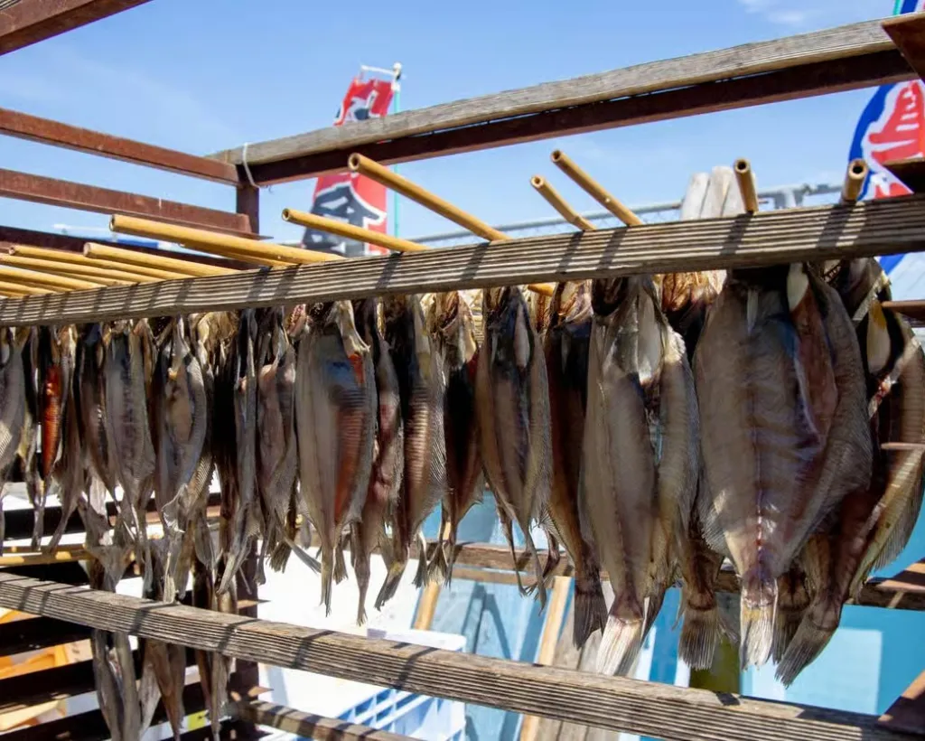 Niigata: Japanese Seafood Culture & Local Market Walk#3