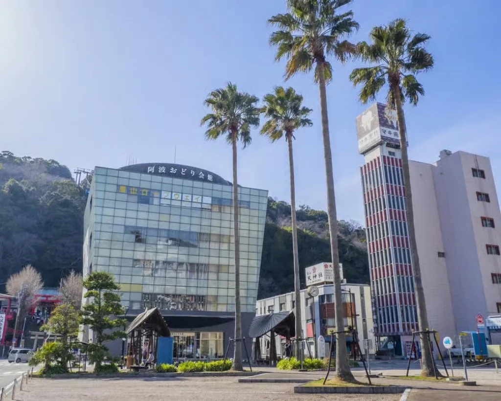 Tokushima: Awa Odori Cultural Experience & Live Performance#2