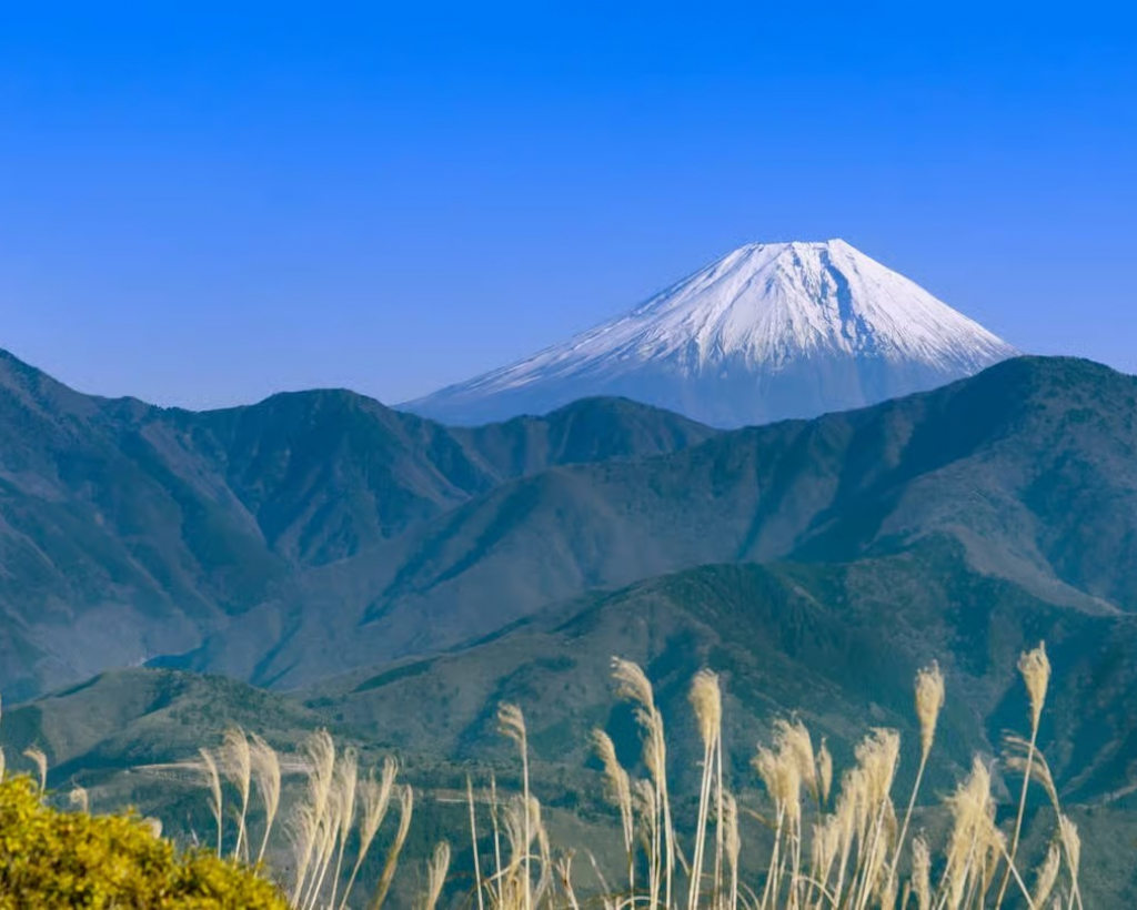 Yamanashi: Minobusan, Japan’s Sacred Mountain of Faith#2