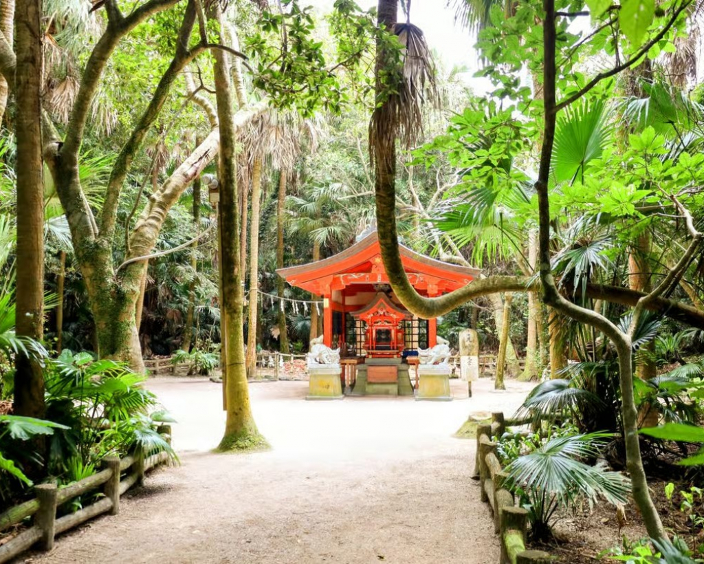 Miyazaki: Aoshima Mythology, Shrine Rituals & Coastal Rocks#5