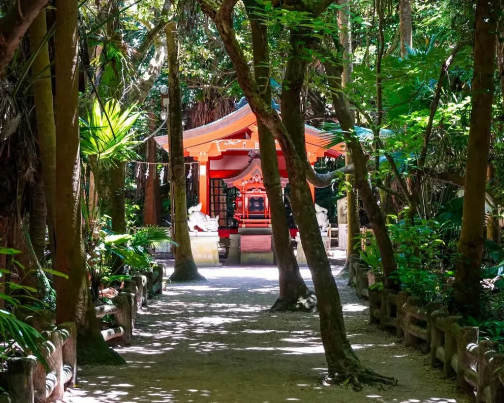 Miyazaki: Aoshima Mythology, Shrine Rituals & Coastal Rocks#3