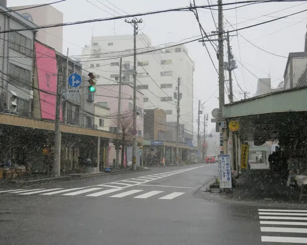 Aomori: Local Market Tour & DIY Seafood Bowl (Nokke-don)#4