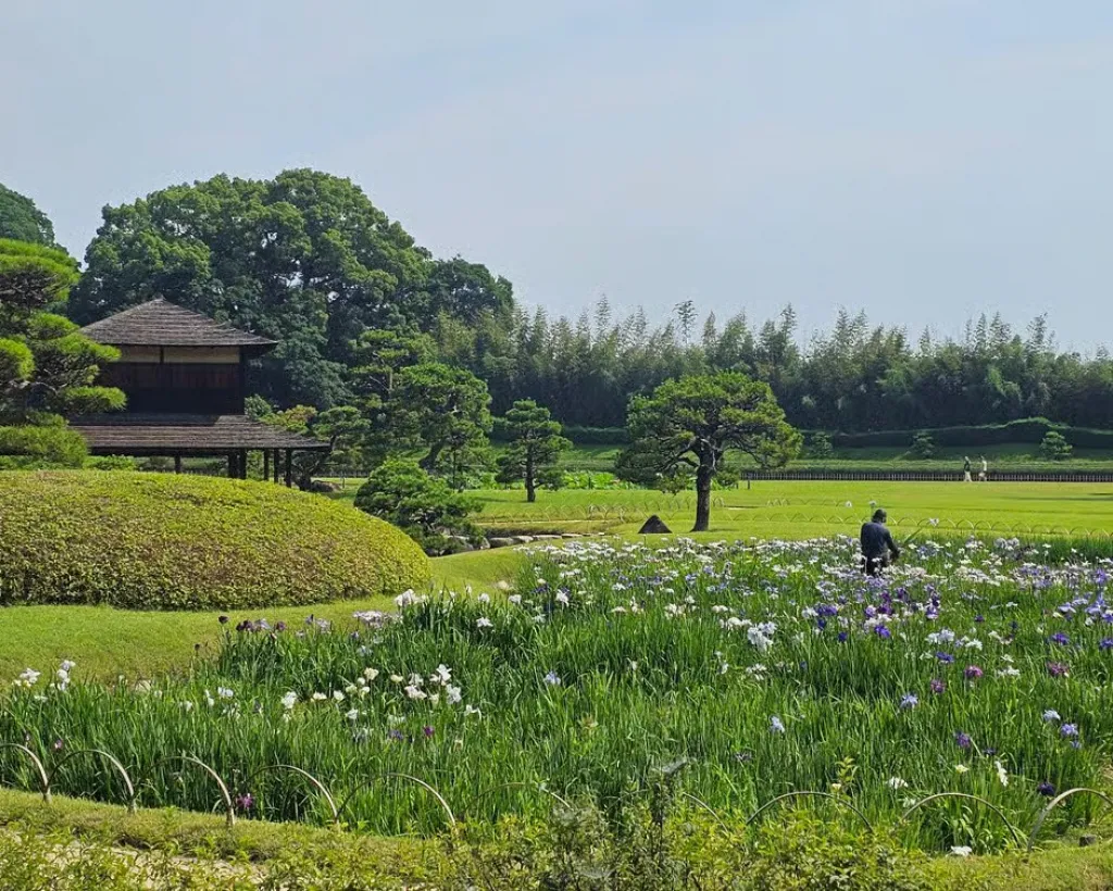 Okayama: Castle & Korakuen Garden Heritage Walk#4