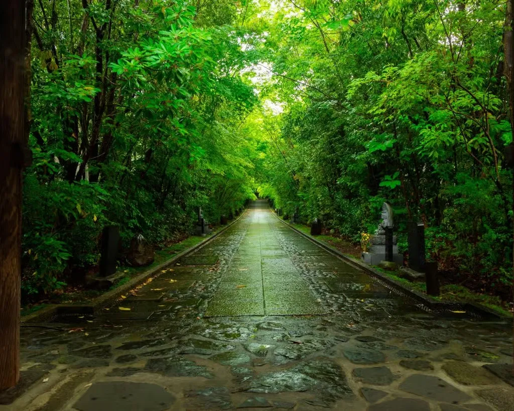 Nikko: Sacred Mountains, Shoguns, & Japan’s Spiritual Heart#3