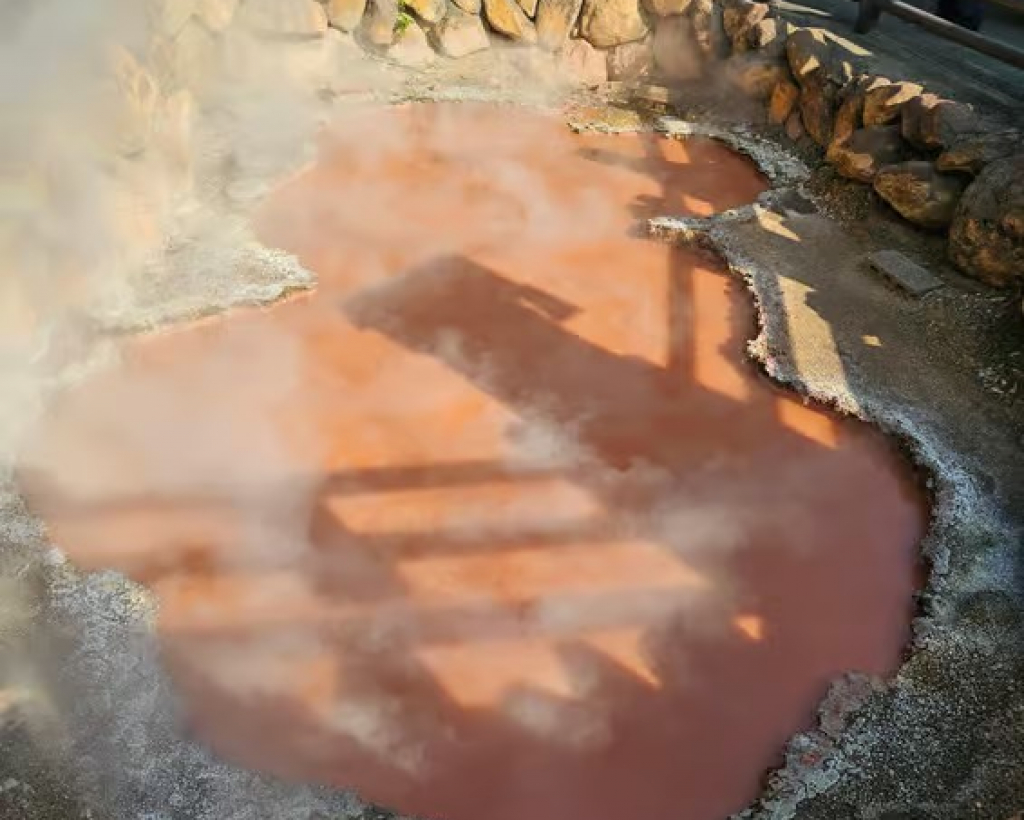 Beppu: Express “Hells” Tour—Top 3 Jigoku Highlights#4