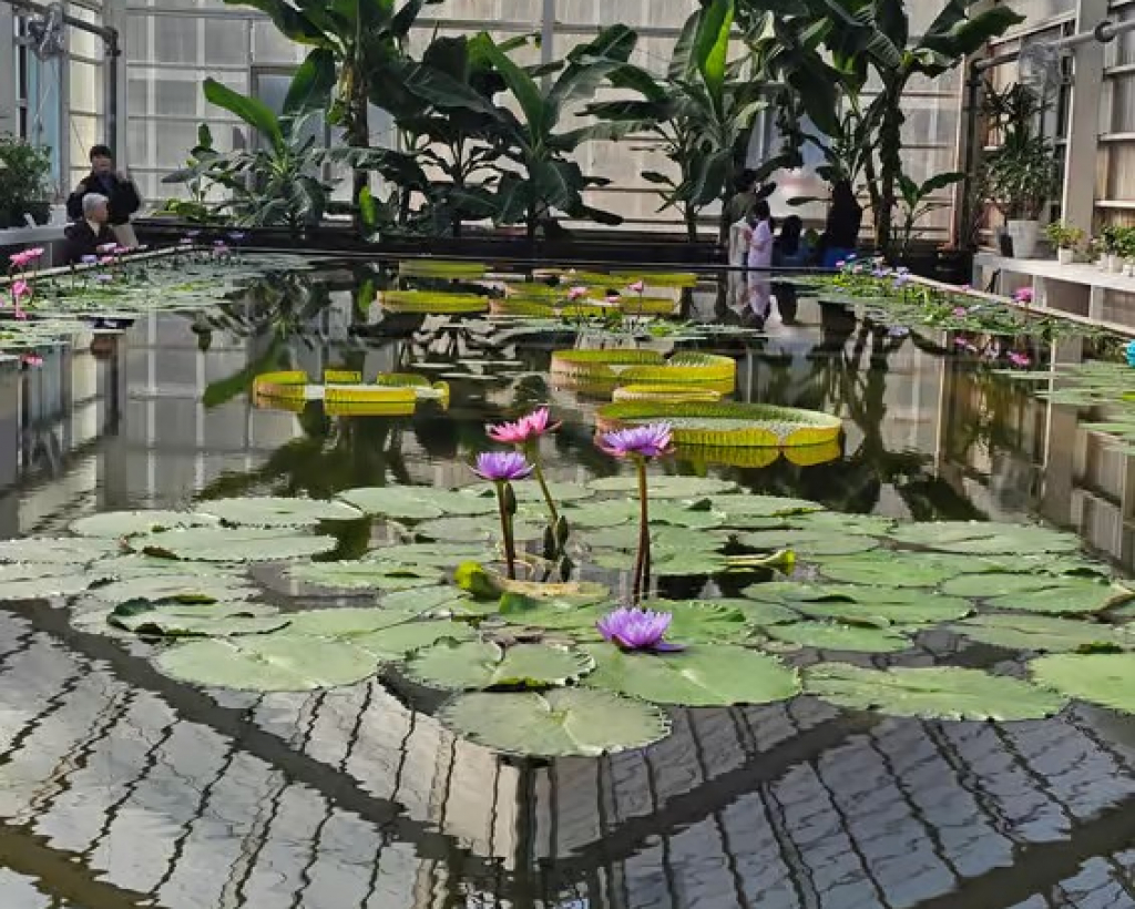 Beppu: Express “Hells” Tour—Top 3 Jigoku Highlights#3