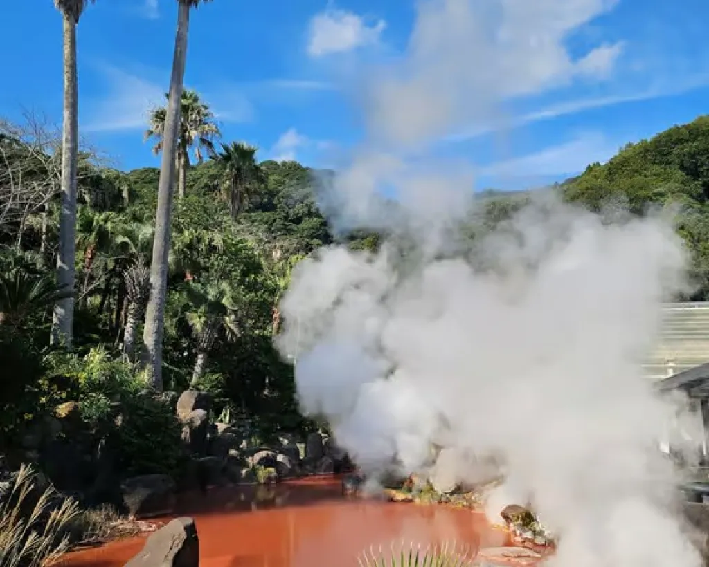 Beppu: Express “Hells” Tour—Top 3 Jigoku Highlights#5