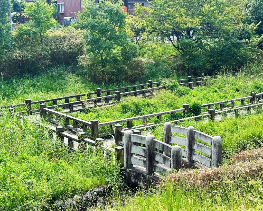Mt. Kunimi Hiking Tour at Hirakata, with a panoramic view of Kyoto and Osaka#4