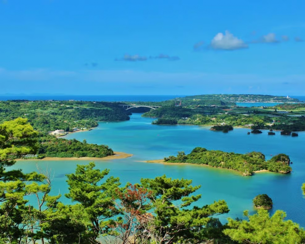 Matsushima: Scenic Bay Walk & Historic Temple Discovery#1