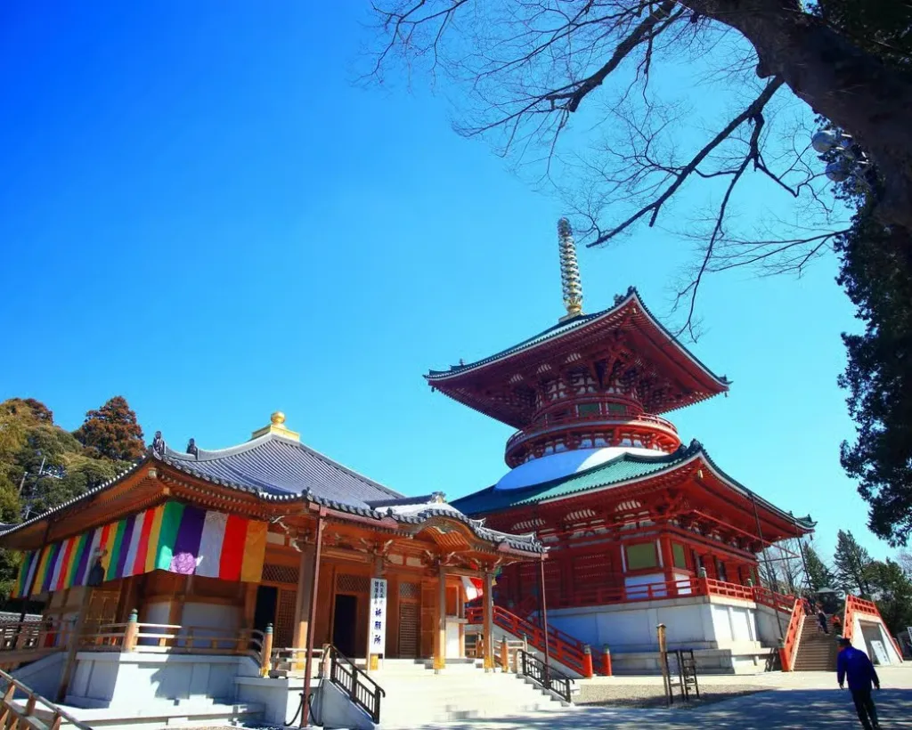 Narita: Shinshoji Temple Highlights Walk & Peace Pagoda#2