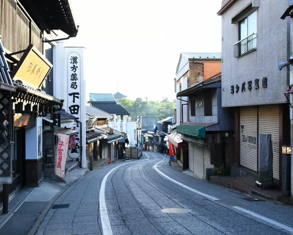 Narita: Shinshoji Temple Highlights Walk & Peace Pagoda#3