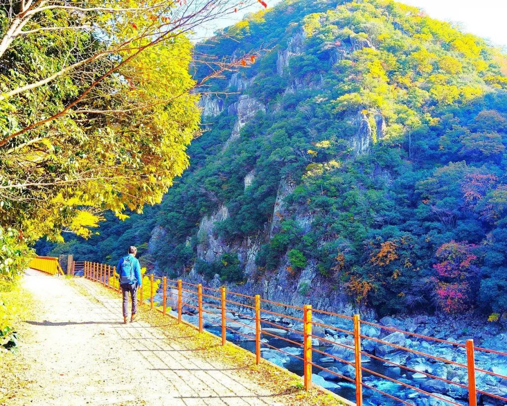 Near Osaka: Secret Abandoned Railway Gorge Hike#1