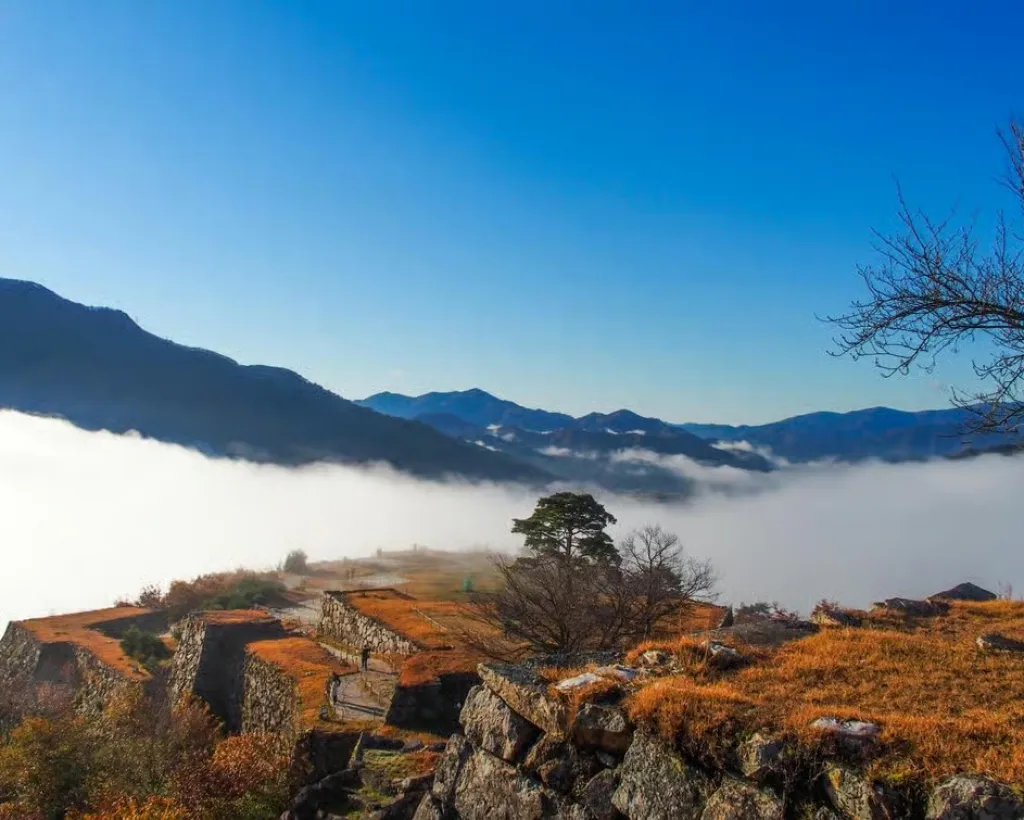 Hyogo: Takeda Castle “Castle in Sky” Mountain Hiking Tour#5